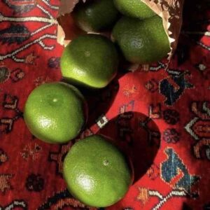 دانلود آهنگ چیکی دنبال برنامه شبو تکیلام با کی